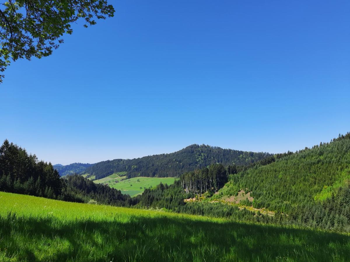 Gaestehaus Haaser Hotel Bad Peterstal-Griesbach Eksteriør billede