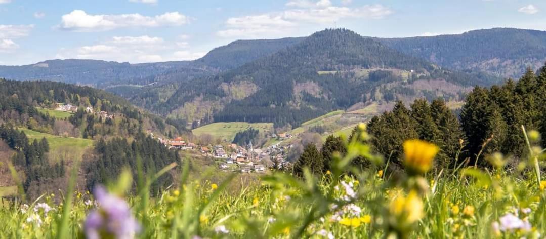 Gaestehaus Haaser Hotel Bad Peterstal-Griesbach Eksteriør billede