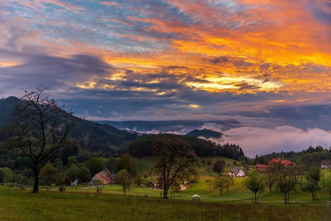 Gaestehaus Haaser Hotel Bad Peterstal-Griesbach Eksteriør billede